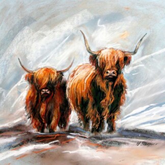 Image of Glen Prosen by Hillary Barker